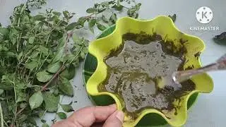 Fresh Henna Leaves Hair Pack With Rose Petals