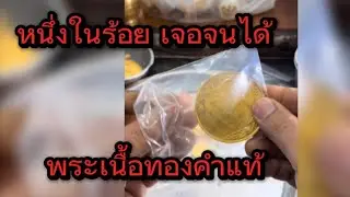 หนึ่งในร้อยหาเจอจนได้ พระเนื้อทองคำแท้ | ทัยมาวินช่างบ้านๆ