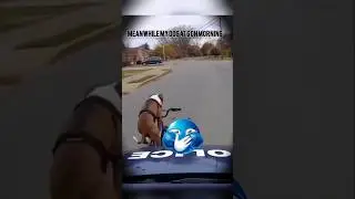 Doggy Vs Dog || 🐕 Edit #funny