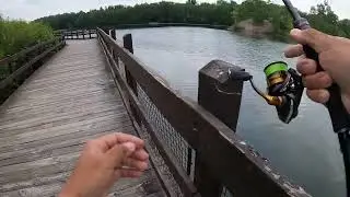 This is a super-effective technique to use Nishine Lure Works&rsquo; Dropshot Minnow.