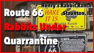 Route 66 Rabbits Under Quarantine - Henry's Rabbit Ranch - Staunton, IL