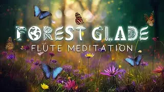 Forest Glade Flute Meditation - 30 Minute Nature Sound Bath for Inner Peace