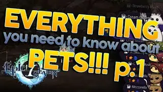 Epic Seven PET GUIDE 2020 Pt.1 - BEST PETS TO INVEST IN!