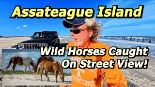 Assateague Island National Seashore 4K 12-Mile Beach Ride & Google Maps Street View Creation! 🐎🏖️😎