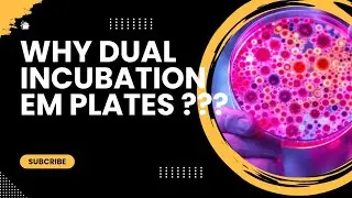 Top 5 Benefits of Using Dual Incubation Environmental Monitoring Plates