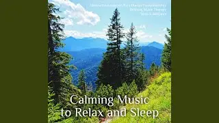 Splendid Ambient Music