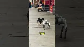 Милая собака реагирует на собаку-робота 🤯