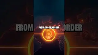 Blockchain Basics to Beginner Strategies: A Fresh Look at Crypto Investing