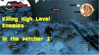 The Witcher 3 - How To Kill High Level Enemies Easily