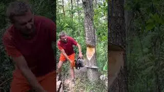 Very Smart Tree Cutting 💥|| #talkwithravanan || #shorts ||
