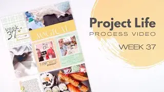 Project Life Process Video // Week 37, 2023 // Citrus Twist Kits