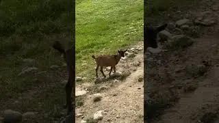 Heyyyyyy