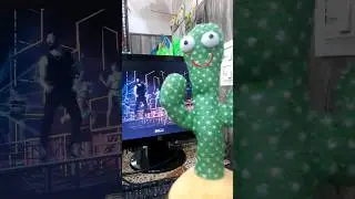 Tauba Tauba by Dancing Cactus