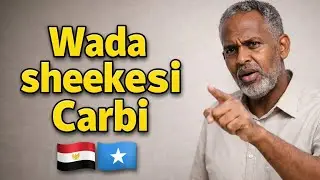 Xiwaar Carabi ah | Lahjada Masar (Amarro & Diidmo)