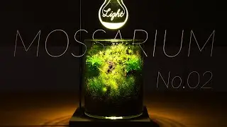 Making a Moss terrarium［Mossarium］