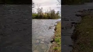 pigeon forge trout fishing