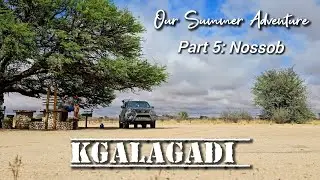 Our Kgalagadi Summer: Part 5 - Nossob, Lijersdraai, Polentswa waterhole