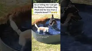Niubya Foldable Dog Pool #Summer #fok #dealsforyouday #viral