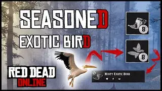 COOKED SEASONED EXOTIC BIRD - RED DEAD ONLINE (DAILY CHALLENGE)