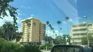 Windy Afternoon St. Petersburg Florida October 2019 Palm Trees Swaying Part 2