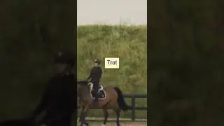 Отправляй видос друзьям: спорим, они тоже не с первого раза назовут все слова?