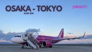 Peach Aviation A320 I Osaka - Tokyo l Flight Report l 4K