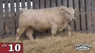 Lot 10 - ProChar 2020.mp4