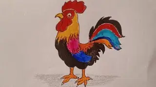 How To Draw A Cartoon Rooster Easy # Learn To Draw A Rooster And Colour It