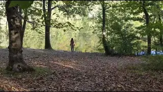 Greenness - Strange Spring
