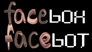 FaceBOX FaceBOT