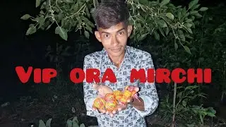 BIG RUBBER SUTLI  || 6 VIP ORA MIRCHI 😲 (experiment sutli)