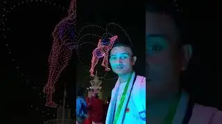 Drone show sheikh Zayed Festival #sheikhzayedfestival #amirtraveller #droneshow