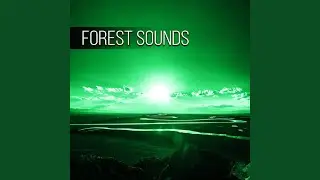 Background Music Relax