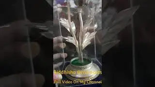 #ShortsYtShorts #SilverChandi #AfimPlant For #UniqueGift ...