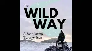 SJTJ 199: John 12:1-3 (Activist and contemplative worship)