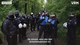 Rodung im Maulbacher Wald