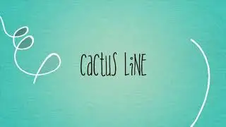 Morphe Skincare Cactus Line