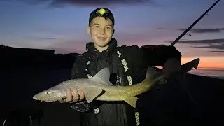 Fishing For hounds on the Holderness Coast - Target achieved! Sea Fishing UK-