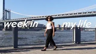 life in nyc: a love letter to brooklyn, bike riding, cookout, girls night, &  solo date in dumbo