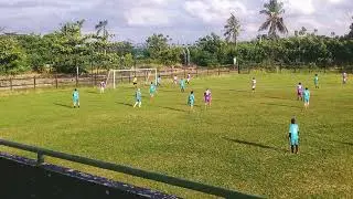 Si umpan Efek Jahe Dengan GoL cantik nya NovaL zebro kelahiran Sepatan 🤩