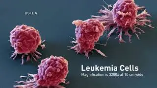 Using Gene Therapy to Defeat Cancer, Hereditary Disease