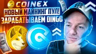 CoinEx. Новый майнинг пул! Блокируем $CET  и получаем $DINGO!