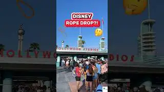 What the HECK is Disney Rope Dropping?! 🤔🎢