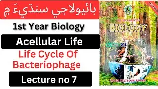 First year Biology in Sindhi|Life Cycle of Bacteriophage|Acellular Life||Chapter 5|#biologyinsindhi