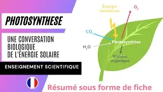 Résumé du chapitre 6 : la Photosynthese, une conversion biologique de l'énergie solaire