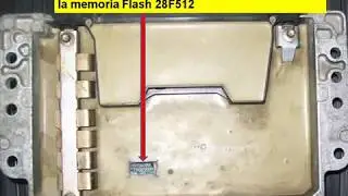 Desinmo Megane Fenix 5.wmv