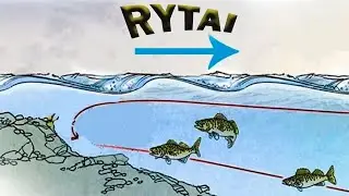 Kodėl nenaudinga žvejoti, jei vėjas pučia i&scaron; rytų?