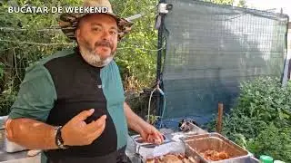 RATA UMPLUTA / BUCATAR DE WEEKEND M.T.