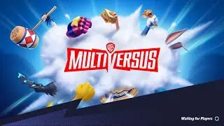MultiVersus Bug?
