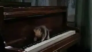 Scruffy The Rat